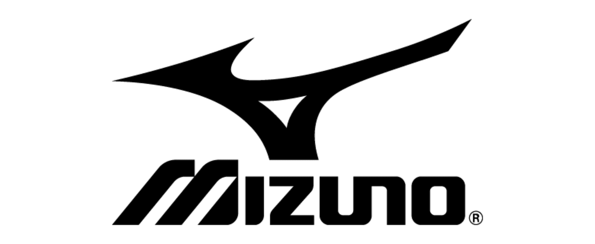 Mizuno logo